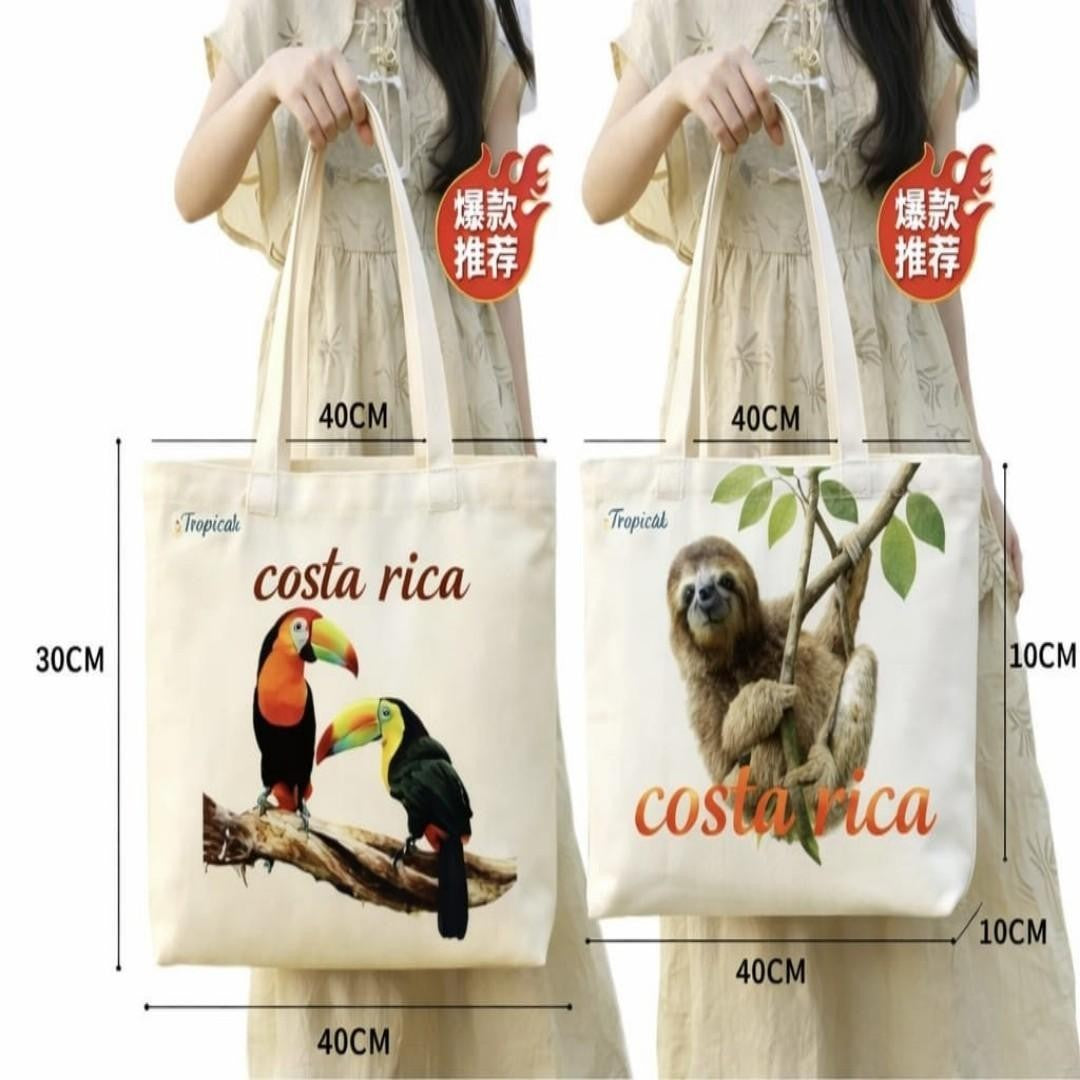 BOLSO TELA COSTA RICA 44*35*10