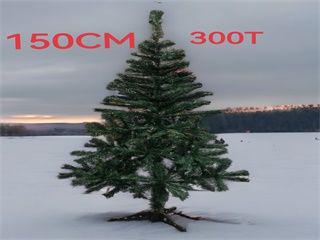 ARBOL NAVIDAD 150CM 300T VERDE