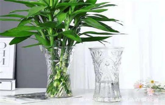 FLORERO VIDRIO 12*30 GIRASOL