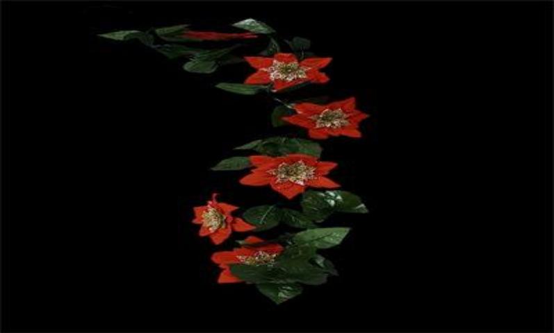 GUIRNALDA PASTORA 2M 6 FLOR