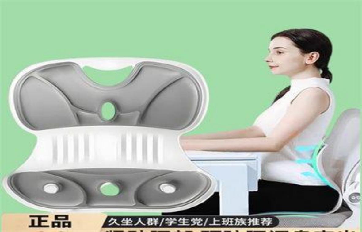 PROTECTOR LUMBAR PARA ASIENTOS