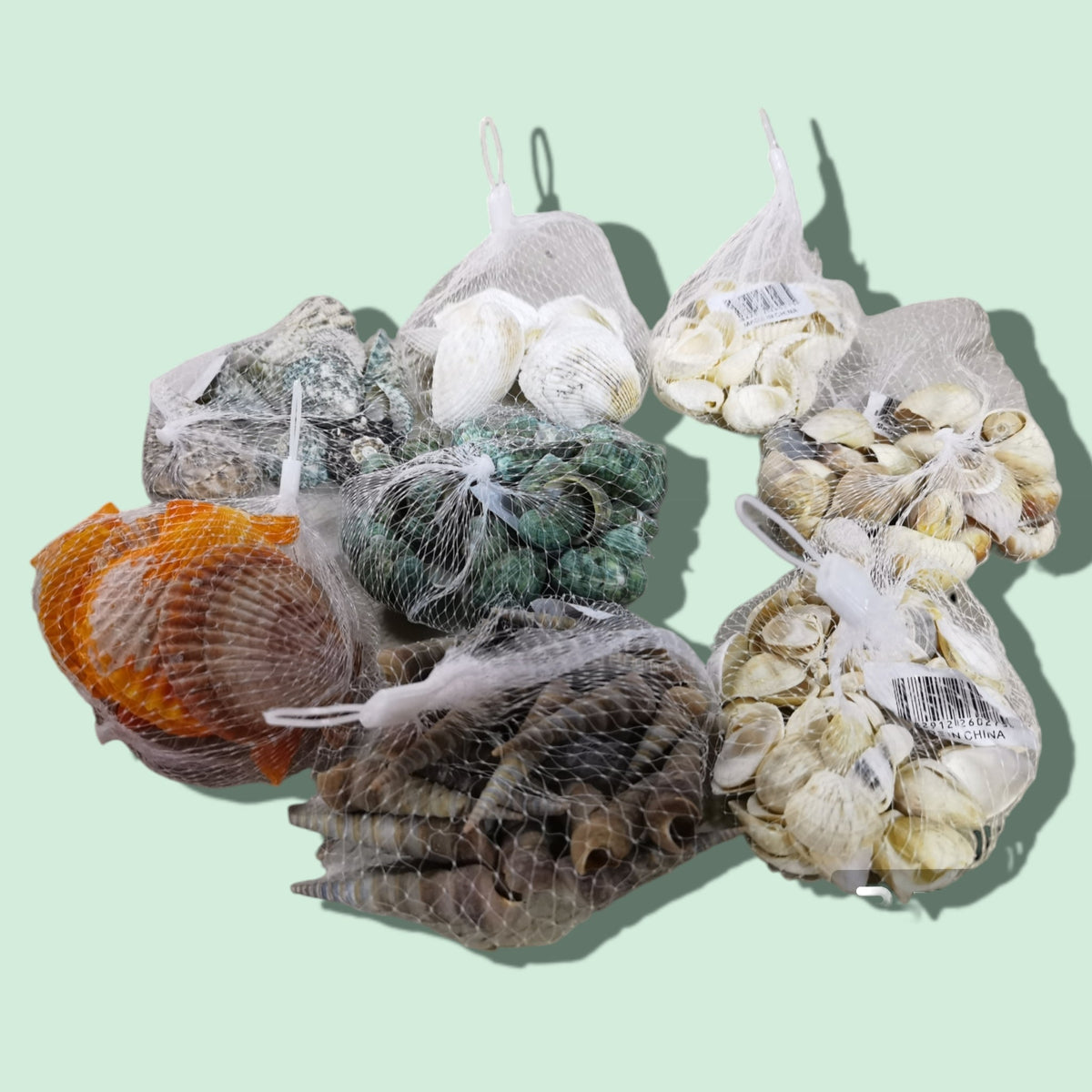 CONCHA MALLA 100G