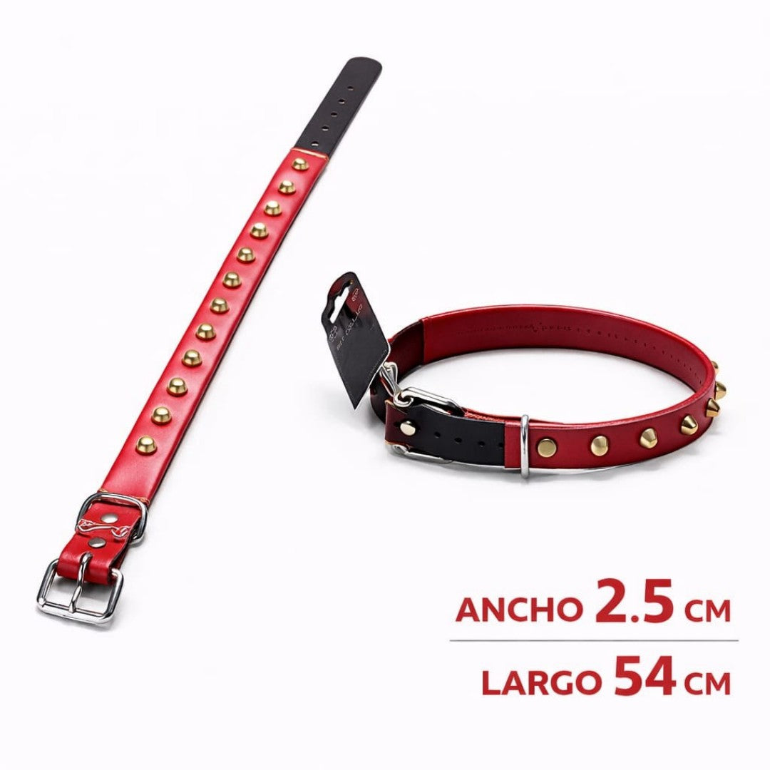 COLLAR DE CUERO CON TACHES 2.5