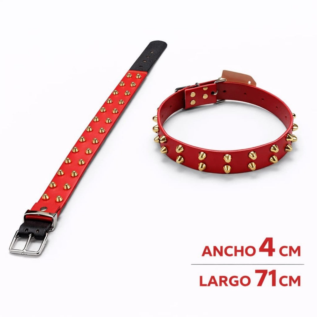 COLLAR DE CUERO CON TACHES 4.0