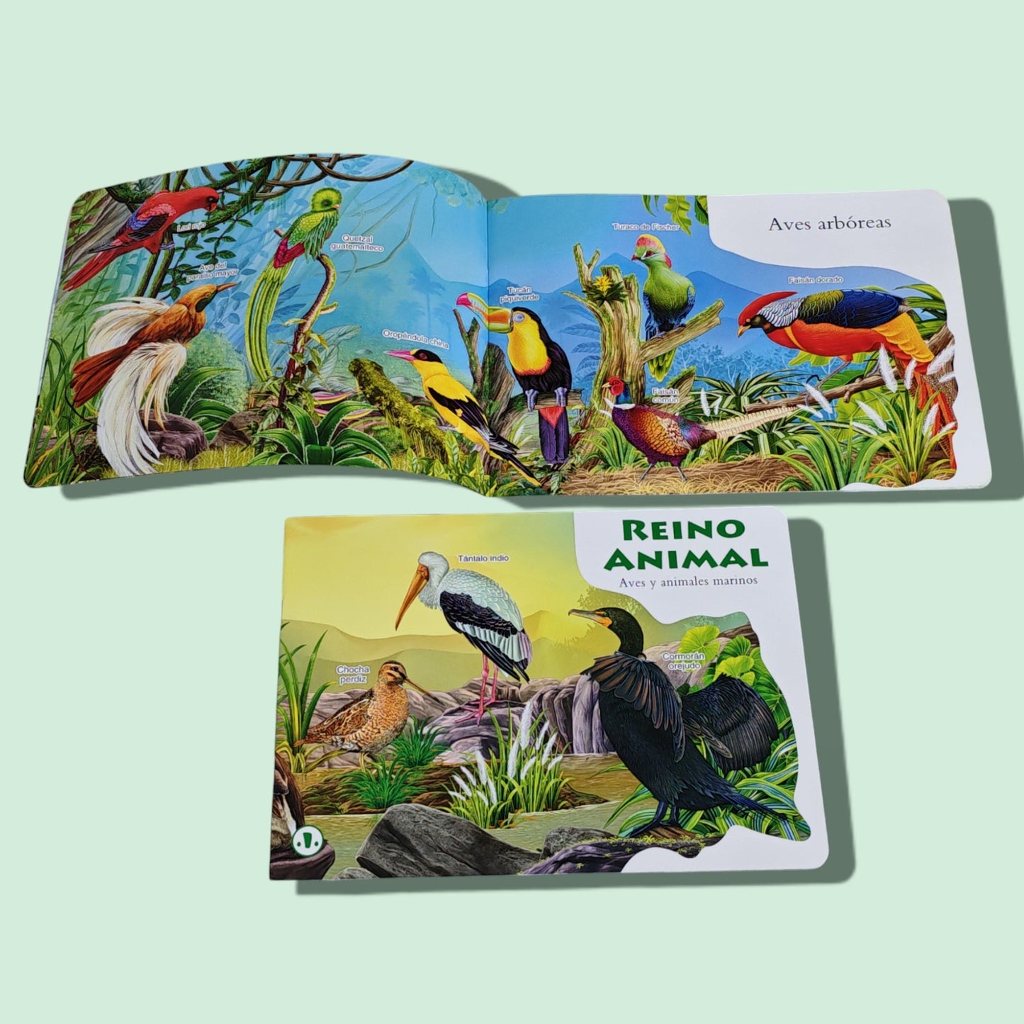 LIBRO DE CUENTOS ESPANOL 976-926