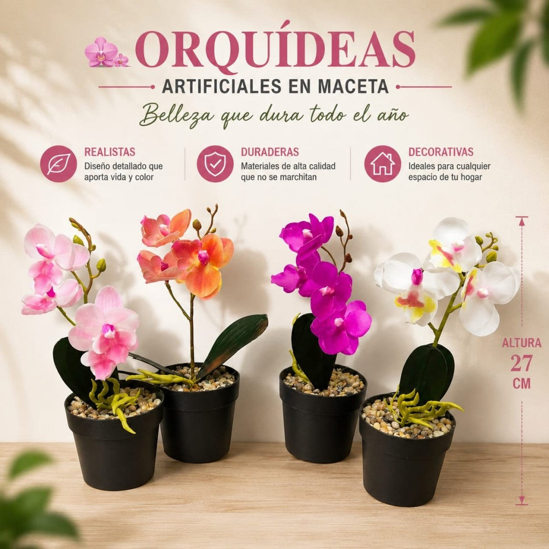 ORQUIDEA MACETA A 27CM