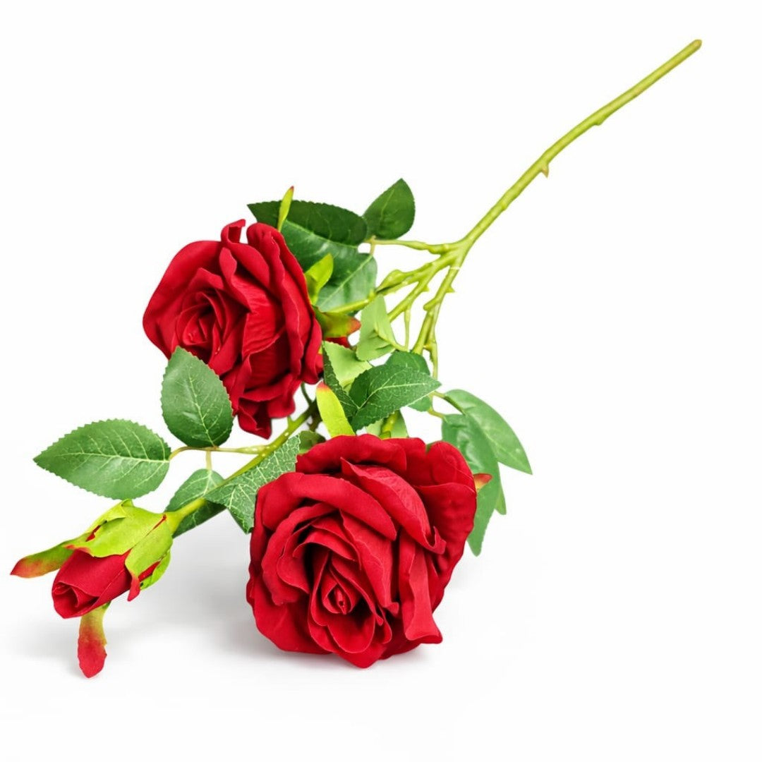 ROSA 3 RAMO ZF46 B