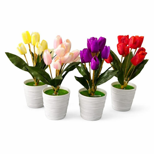 BONSAI TULIPAN MACETA 27CM