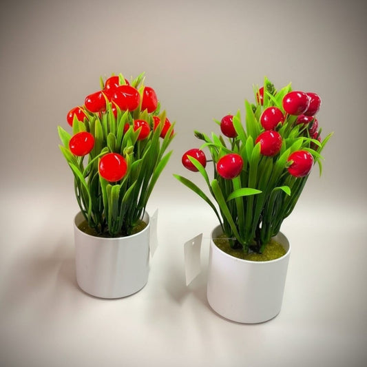 BONSAI MANDARINA 1954G