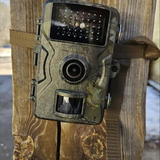 CAMARA TRAMPA CAMFLAJE