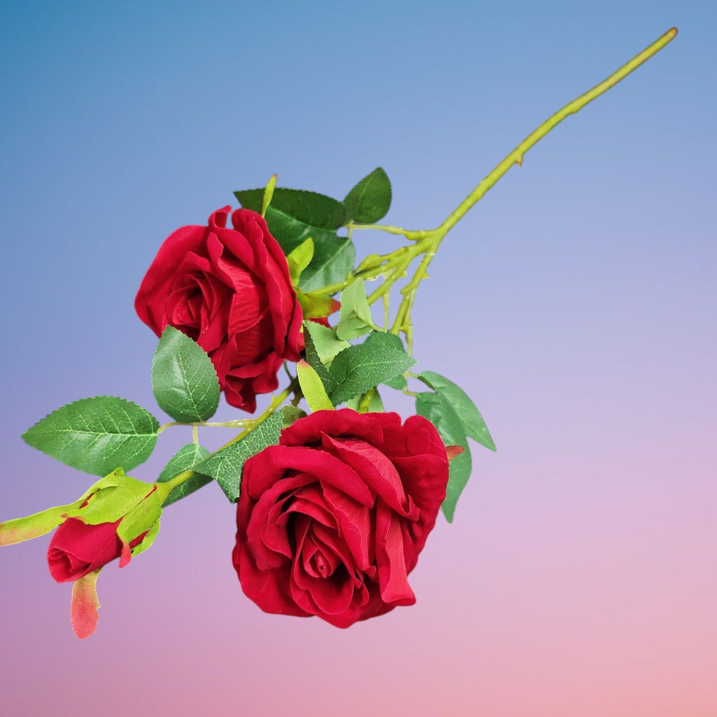 ROSA 3 RAMO ZF46 B