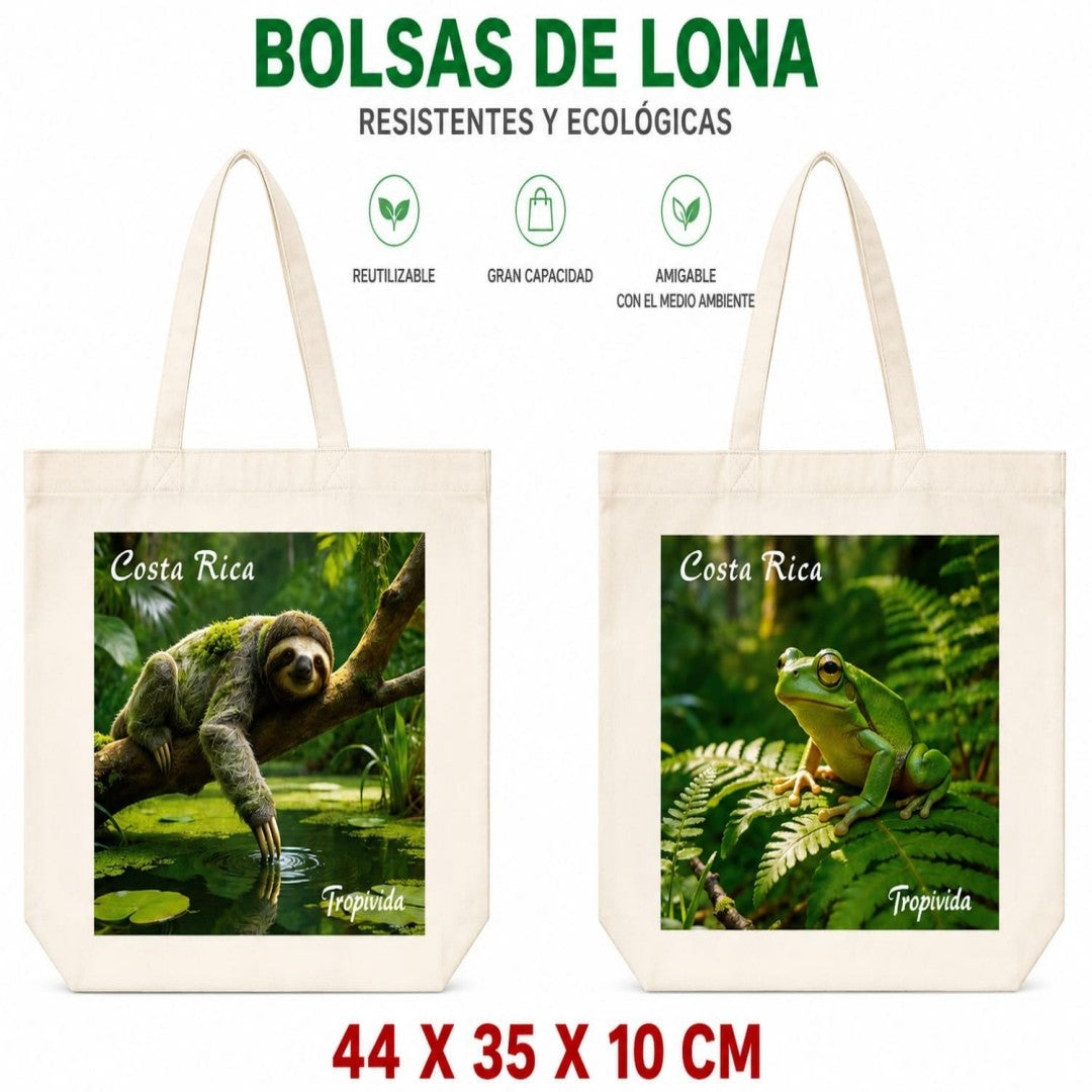 BOLSO TELA COSTA RICA TR 44*35*10 D