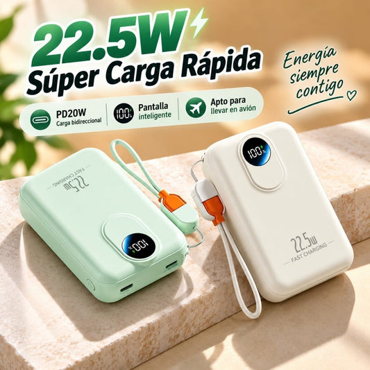 POWER BANK 20000MA 821-20