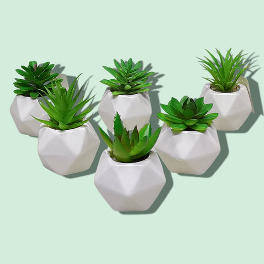 BONSAI CERAMICA 5*9CM C