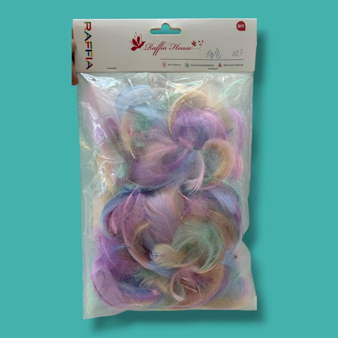 PLUMAS DE COLORES EN BOLSA