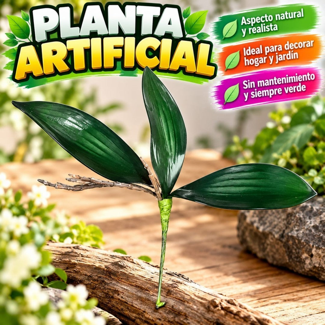HOJA RAIS ORQUIDEA 3