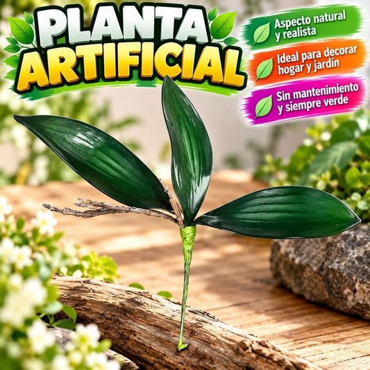 HOJA RAIS ORQUIDEA 3