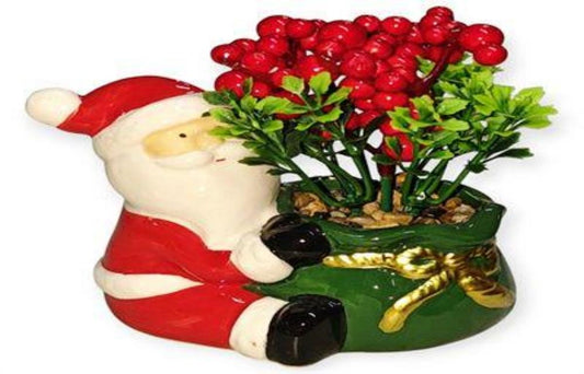 BONSAI NAVIDAD COLACHO 239217