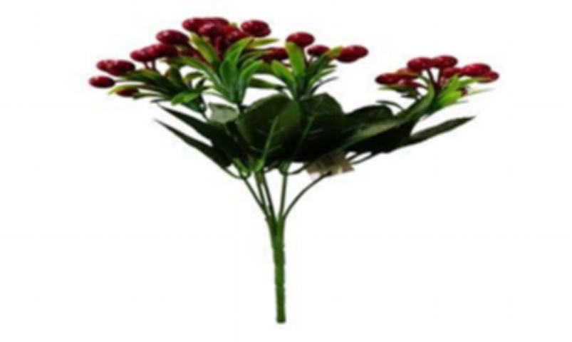 FRUTAS ROJO 5RAMO DP97