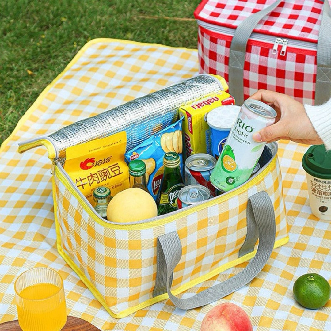 BOLSO TERMICA PORTATIL