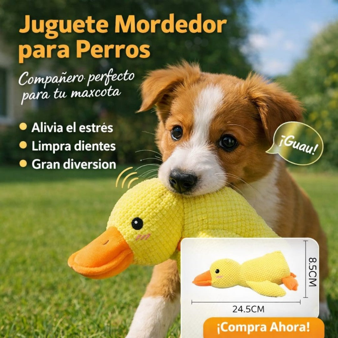 PELUCHE PATO AMARILLO PARA PERRO