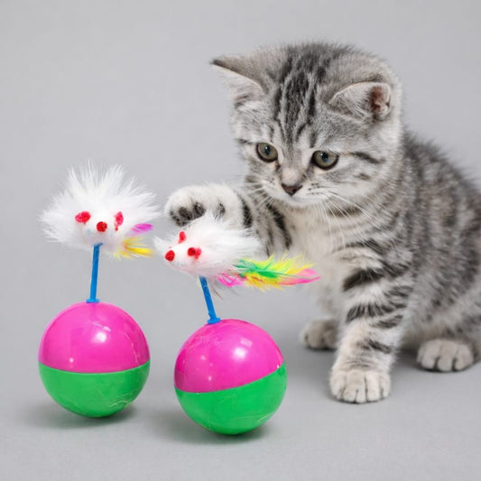 RATON PARA GATO TIPO BALANCIN