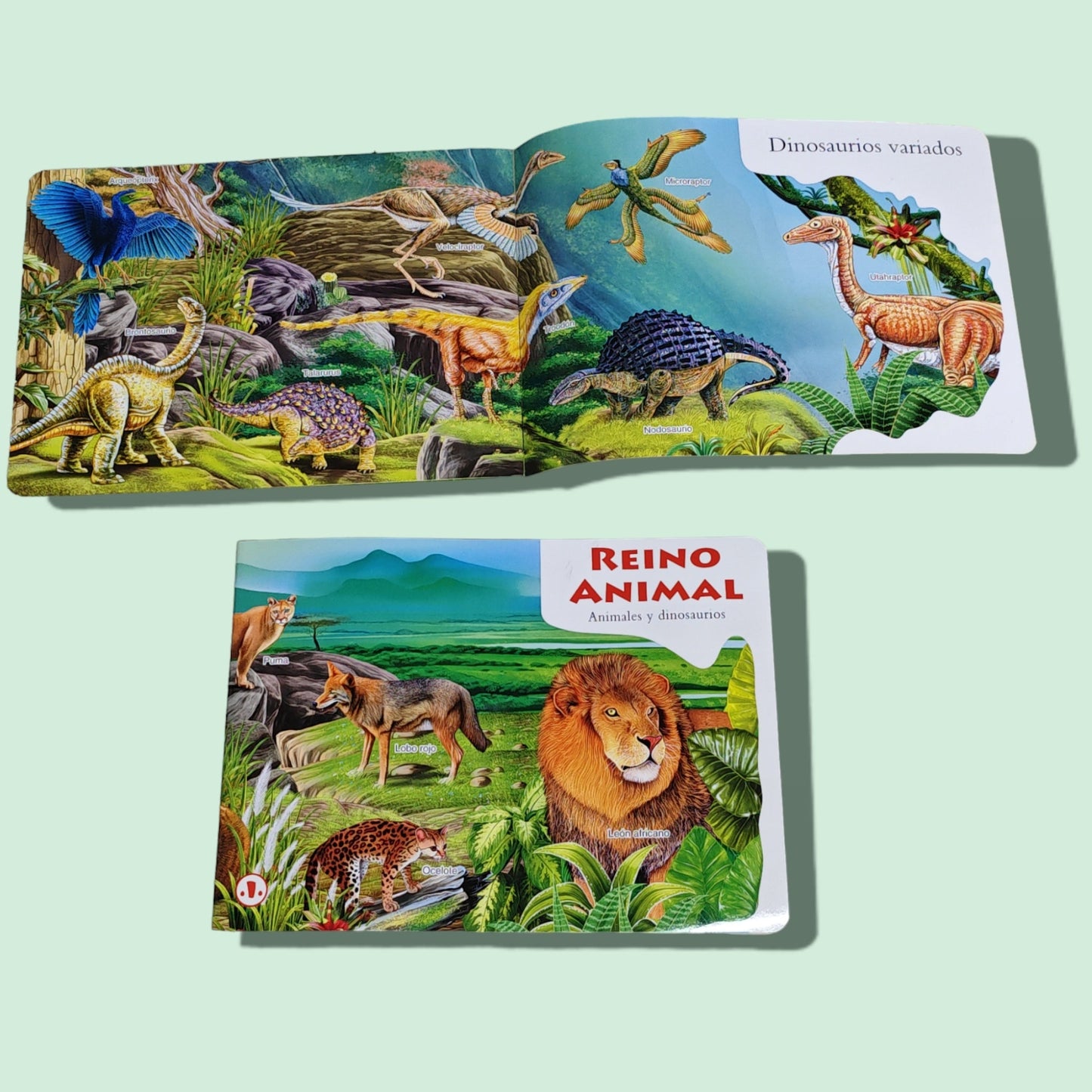 LIBRO DE CUENTOS ESPANOL 976-926