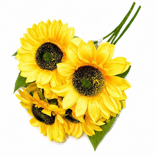 GIRASOL 5 CABEZA GDE