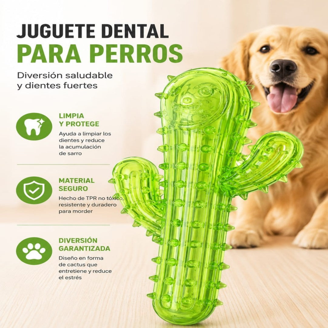 JUGUETE CACTUS PARA MASCOTAS 191095