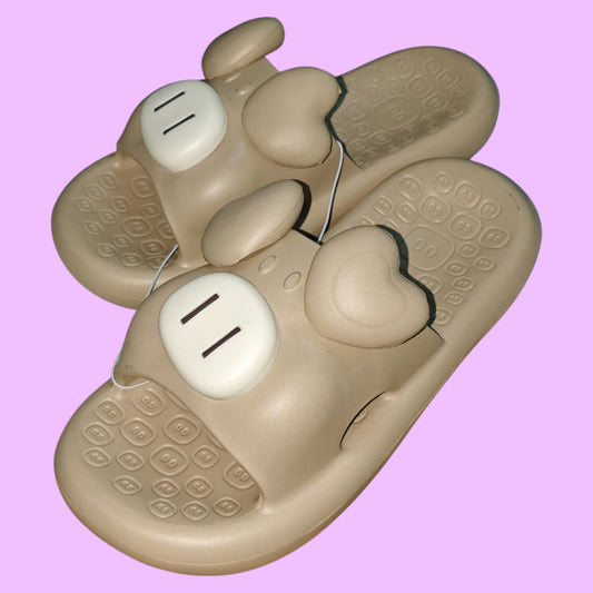 CHANCLETAS CHANCHO 36-41