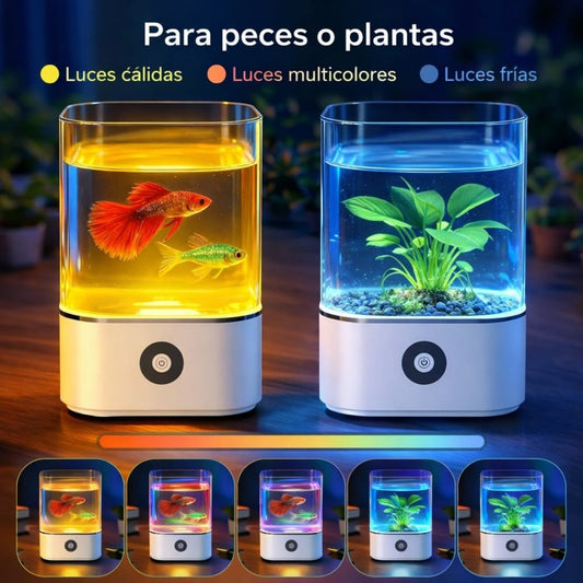 MINI ACUARIO CON LUZ LED